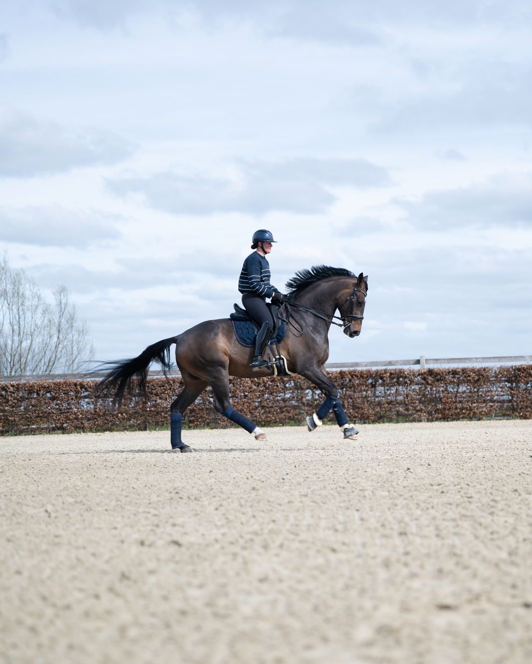 A dressage horse cantering uphill in a training arena